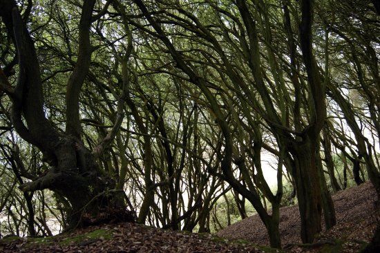 Steamer Point Nature Reserve